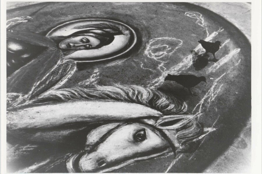 Lisbeth Neergaard Kohloff, Milan Pigeons II.